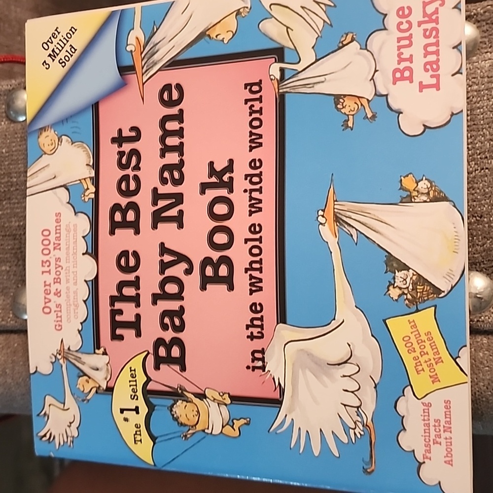 The Best Baby Name Book
